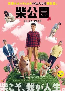 爱的课程