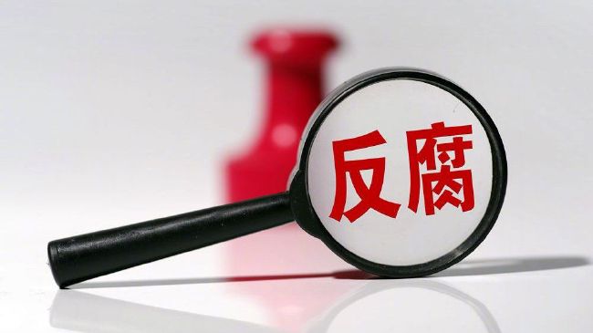 成人区精品一区二区毛片不卡