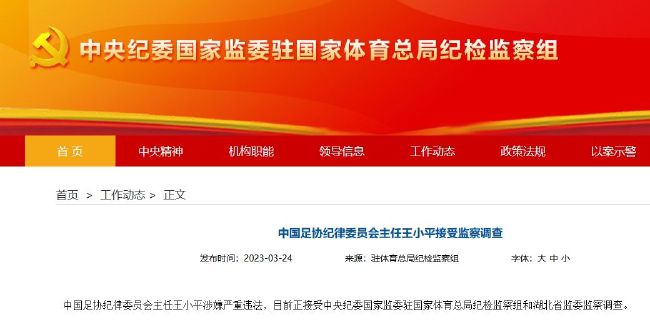 国产精品久久久久9999