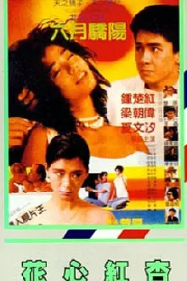 国产成人理在线观看视频