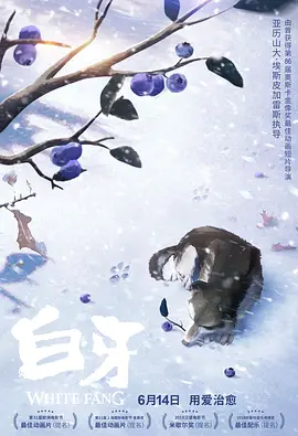 又见小姨