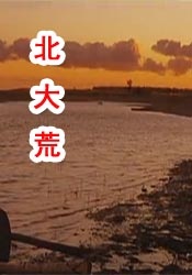 爸爸的擎天柱视频大全