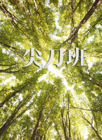久久久免费视频播放