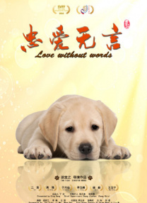 上海电信 dns