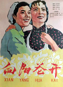 我老婆的妹妹