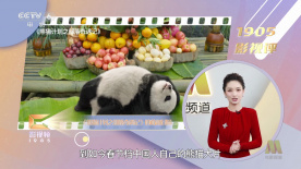 午夜亚洲精品久久久久久